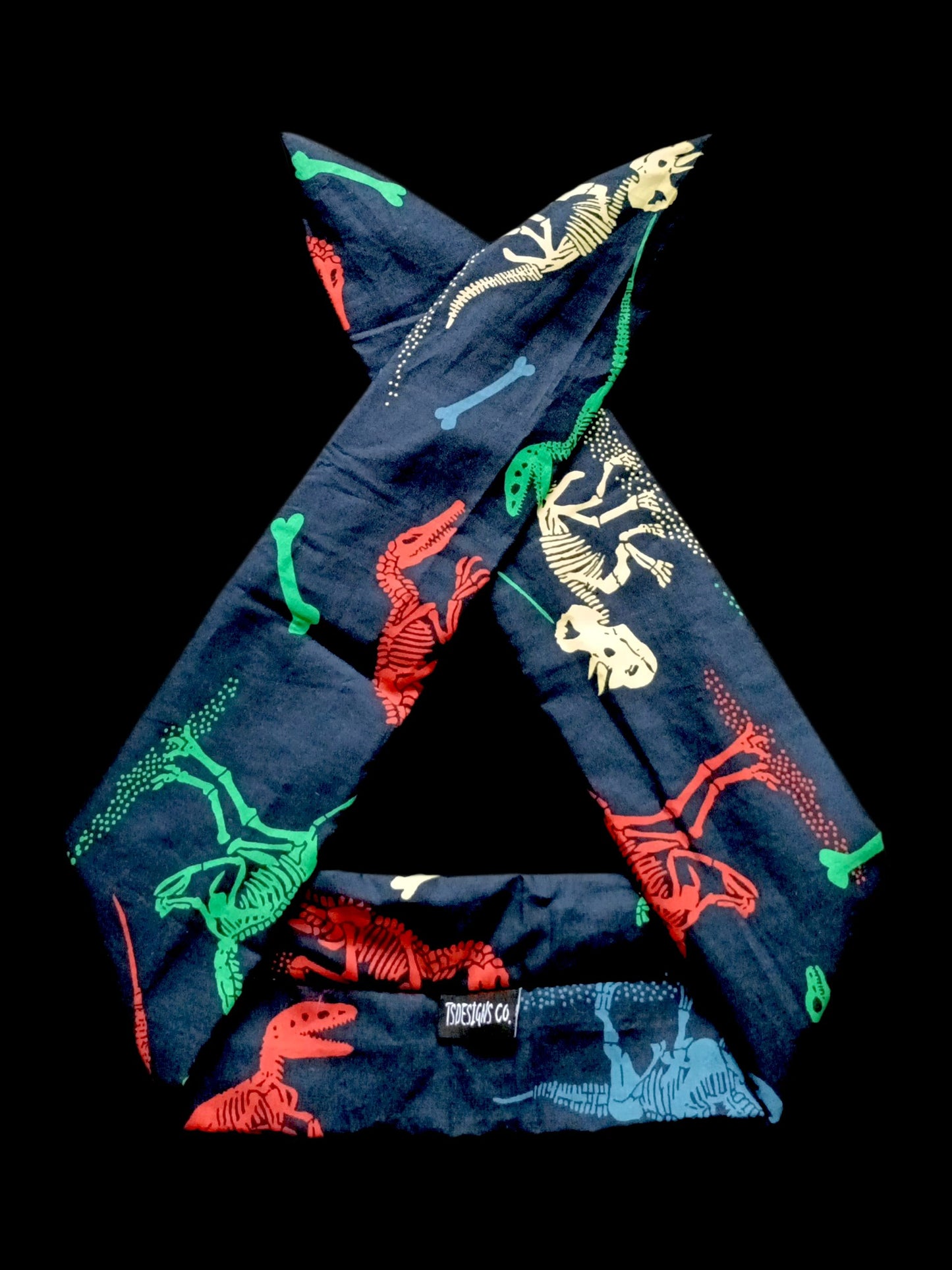 BETTY BOO BANDS™ WIRED HEADWRAP | Skele Dinosaurs